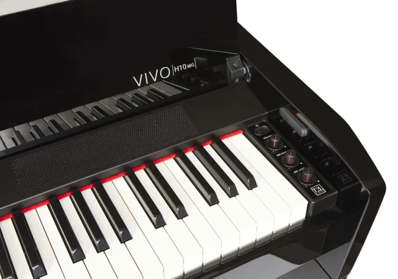 DEXIBELL VIVO H10MG